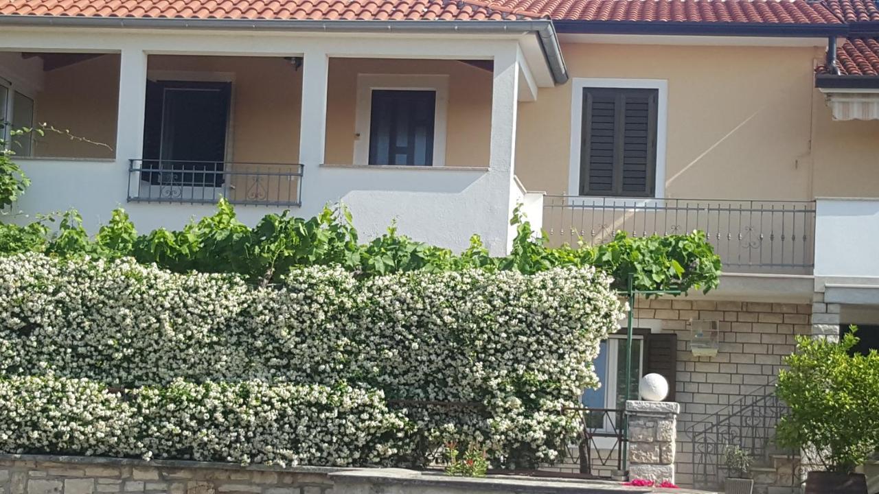 Haus Roko *